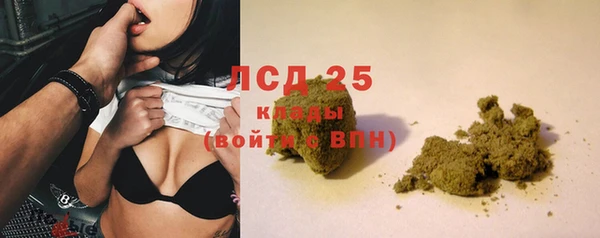 PSILOCYBIN Балабаново