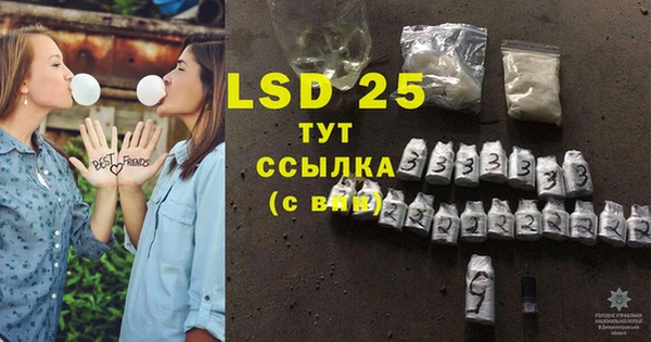 PSILOCYBIN Балабаново
