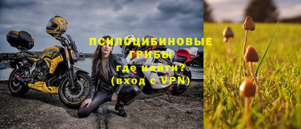 стаф Арсеньев