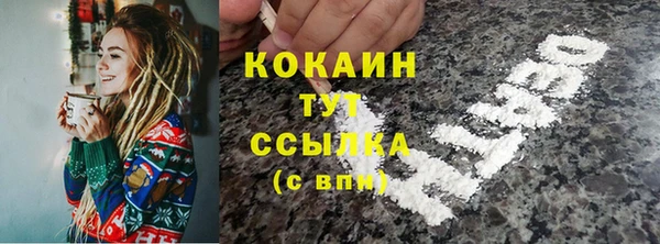 PSILOCYBIN Балабаново