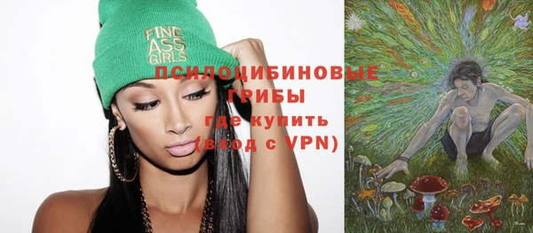 дживик Балахна