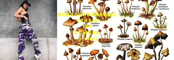 PSILOCYBIN Балабаново