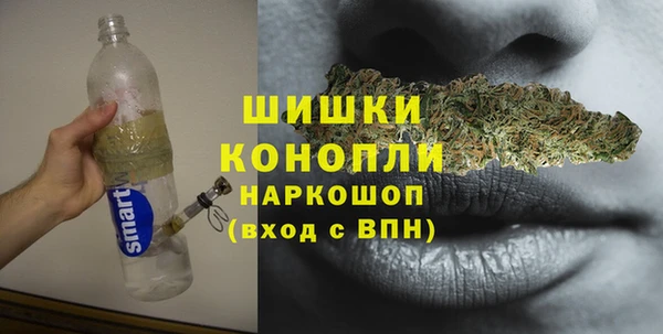 дживик Балахна